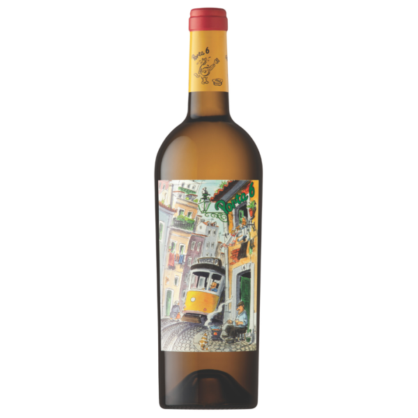 Porta 6 Branco